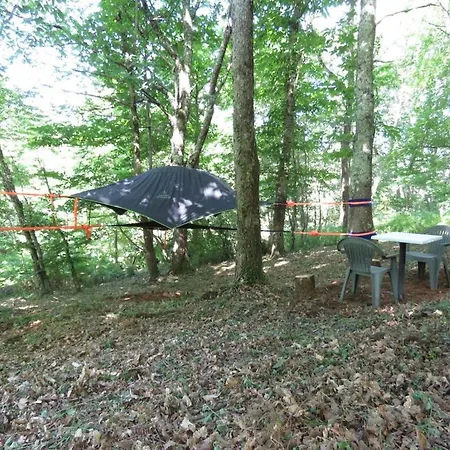 Tente Suspendue Au Coeur De La Foret