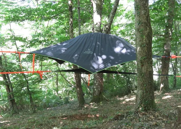 Tente Suspendue Au Coeur De La Foret *