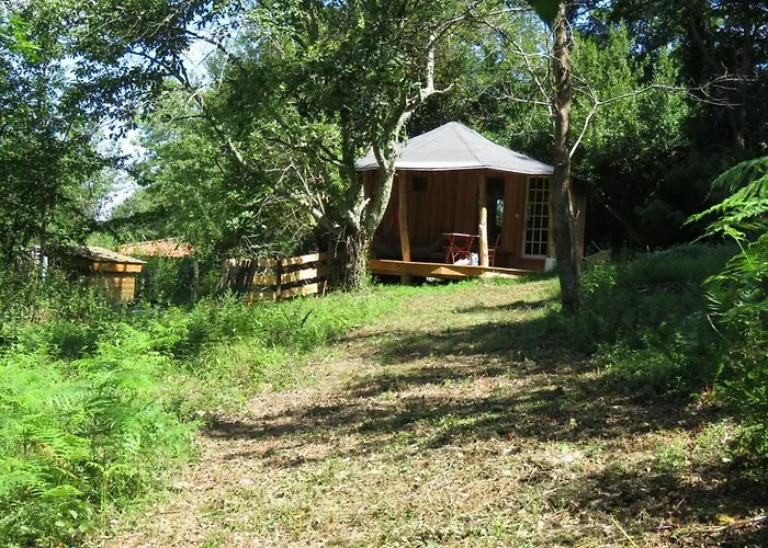 Tente Suspendue Au Coeur De La Foret