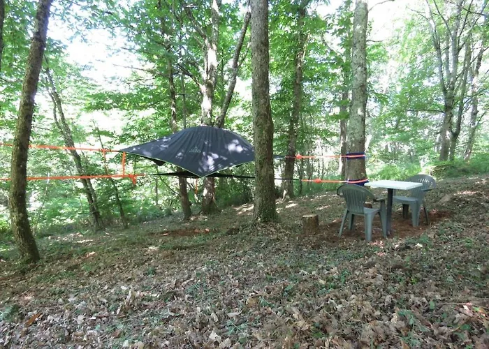 Tente Suspendue Au Coeur De La Foret